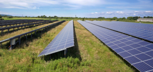 Ham Lane Solar Park_05