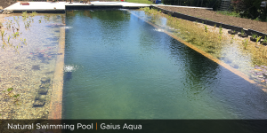 Natural swimming pool UK