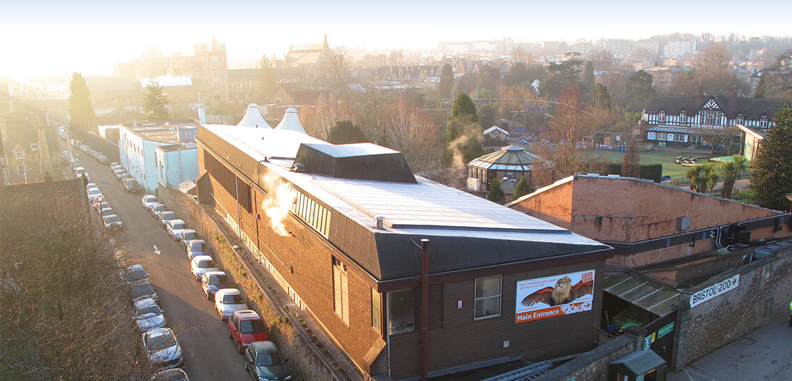 Bristol Zoo solar panels aerial image of facility