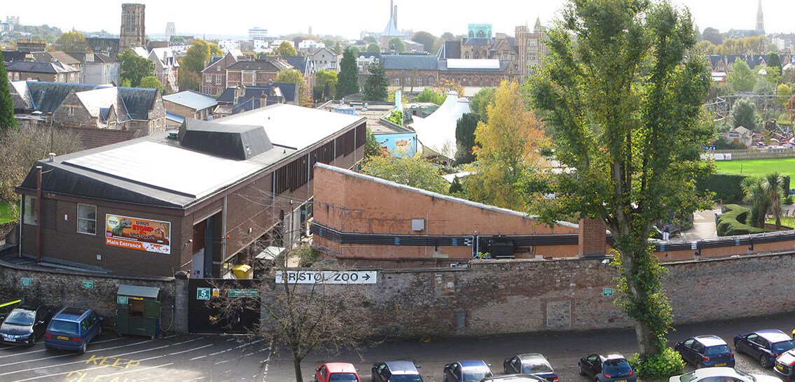 Bristol Zoo Solar Panels
