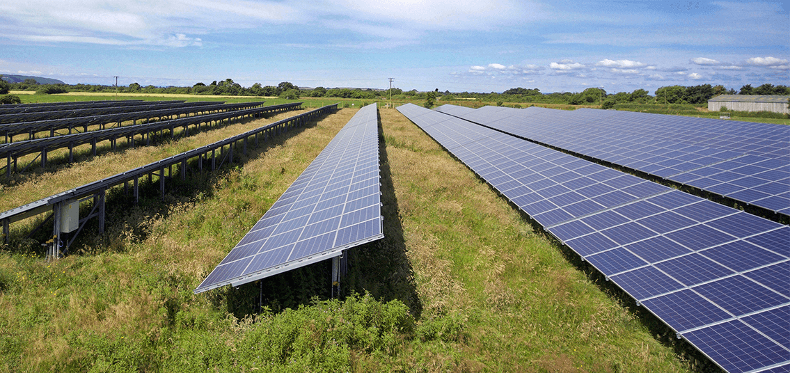 Ham Lane Solar park side view