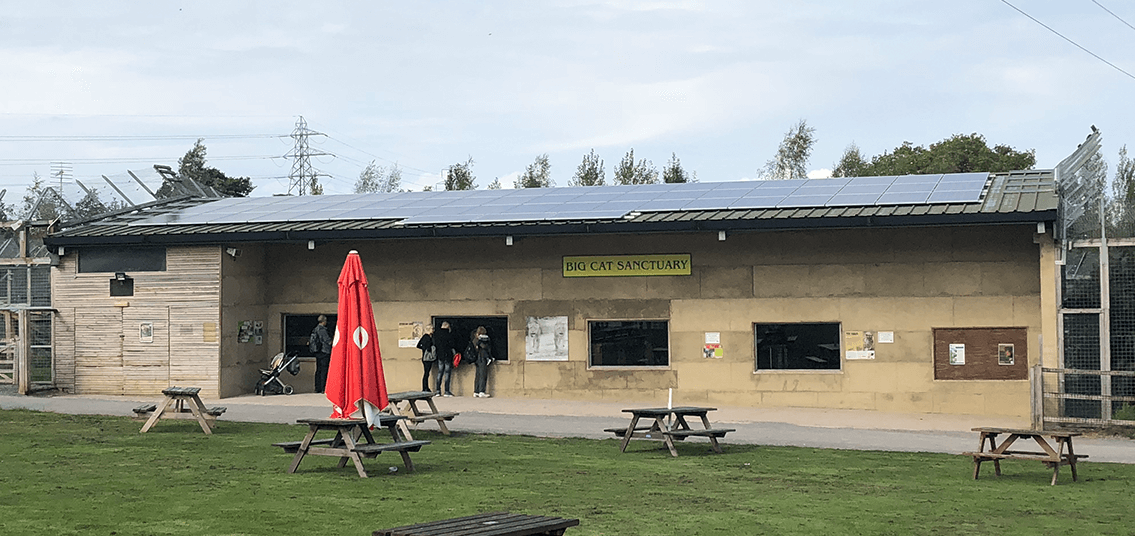 Noahs Ark Zoo Solar Panels - On Big Cat Sanctuary building