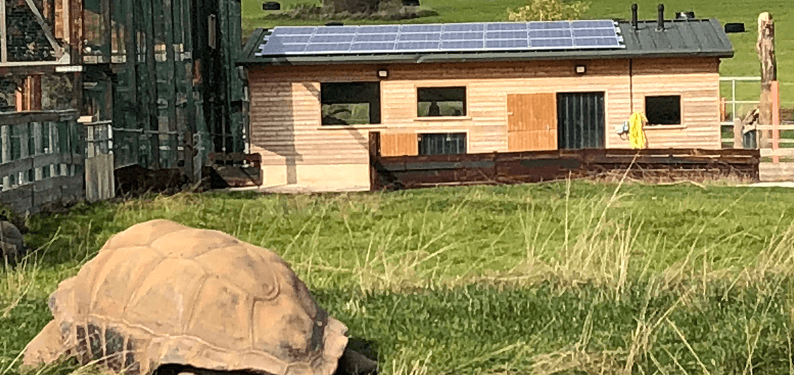Noahs Ark Zoo Solar Panels