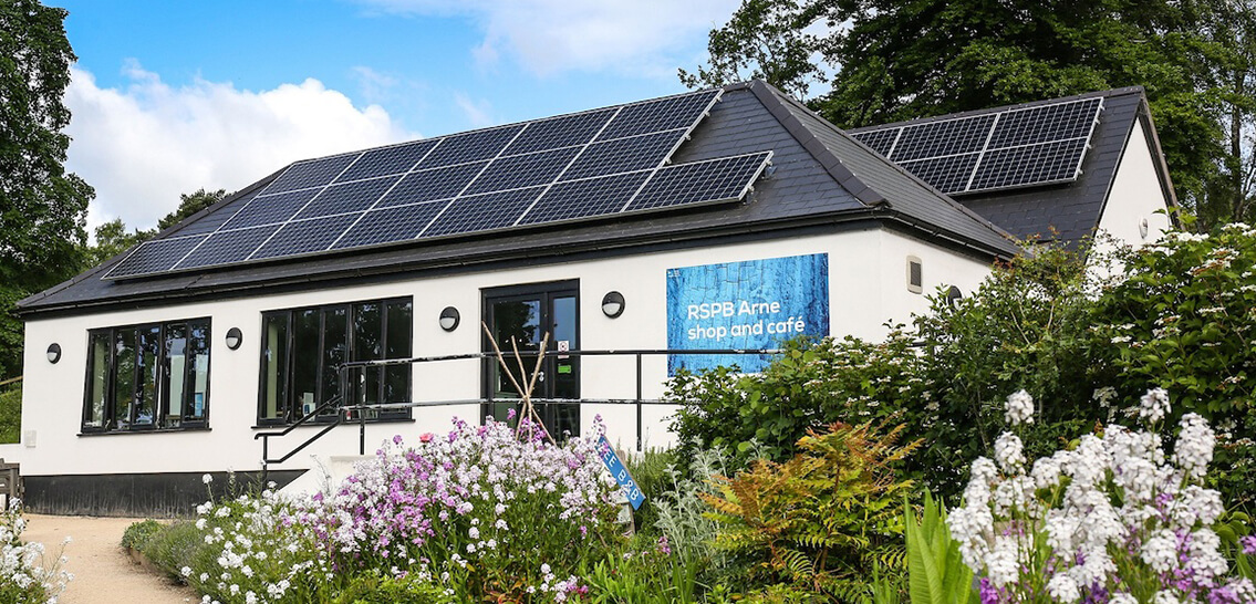 RSPB Arne Solar Panels