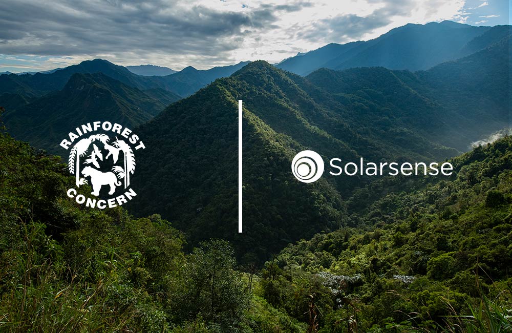 SolarSense partners with Rainforest Concern