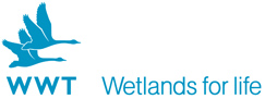 WWT logo