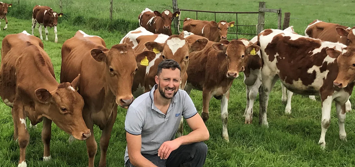 Ed Gosling with Guernsey Cows at Berkeley Farm Dairy